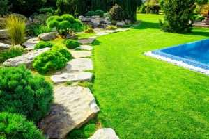 Landscape Design